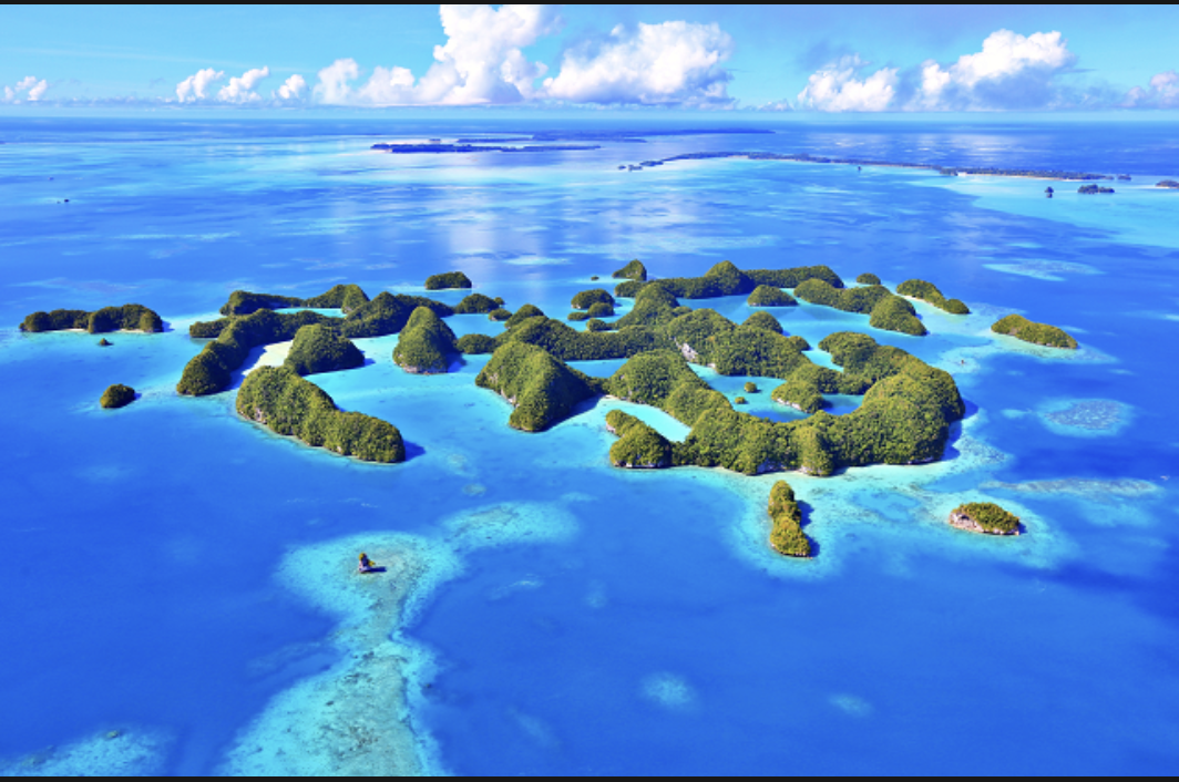 パラオ共和国の魅力に迫る④パラオって何語なの？日本人でも余裕な理由 ~ 人生楽しめ 仕組み化で自由な道へ 飽き性パパのあくなき挑戦