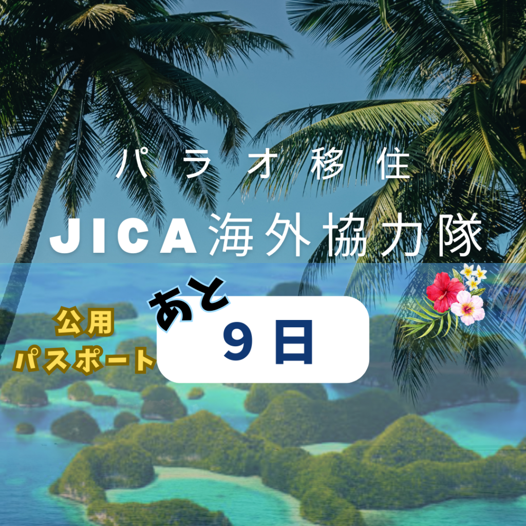 公用パスポートが家に届く そもそも公用パスポートとは? ~ 人生楽しめ 仕組み化で自由な道へ 飽き性パパのあくなき挑戦